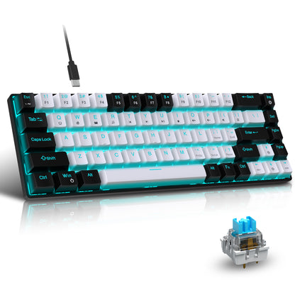 60% RGB Mechanical Keyboard Custom Keycaps Mini