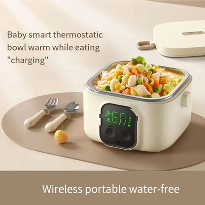 Portable Rechargeable Electric Lunch Box