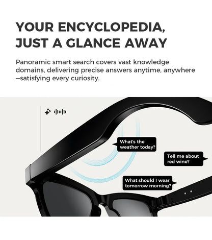 Bluetooth AI Smart Glasses with Camera & Translation