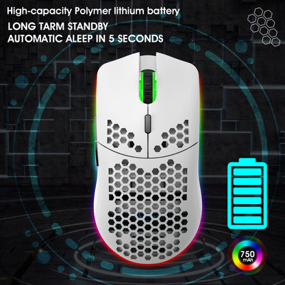 RGB Wireless Lightweight Gaming Mouse