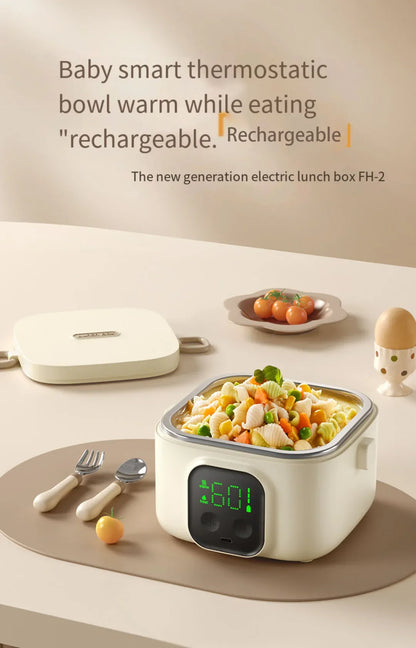 Portable Rechargeable Electric Lunch Box
